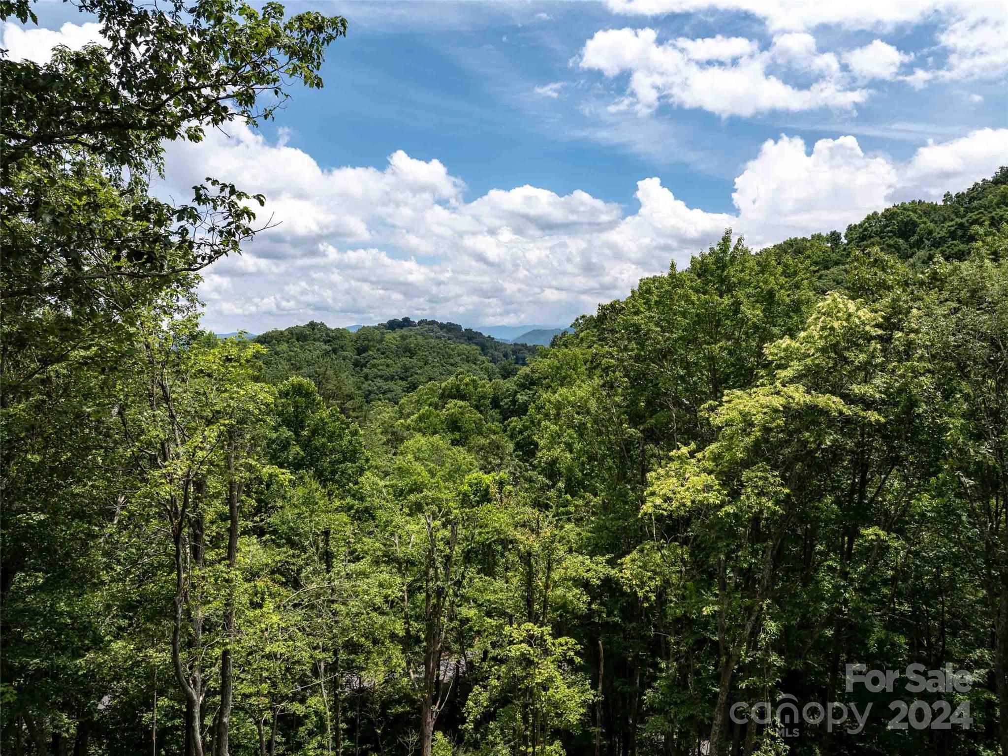 32 Tapestry Trail Waynesville, NC 28785 - Photo 4 of 27 a view of a bunch of trees