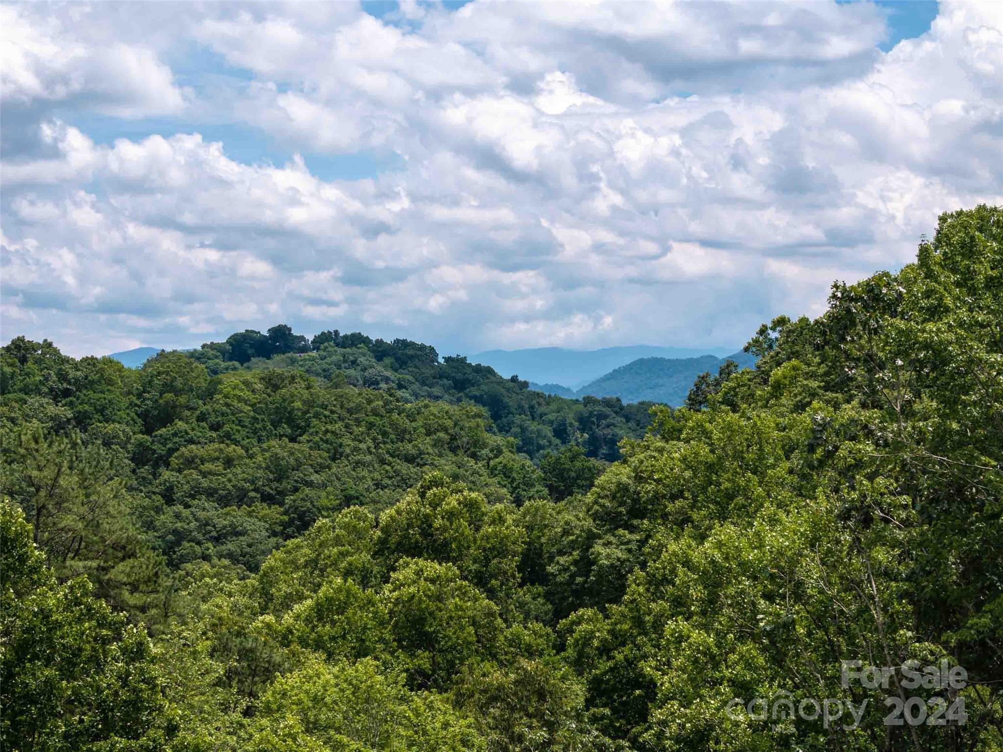 32 Tapestry Trail Waynesville, NC 28785 - Photo 5 of 27 a view of a city with lush green forest