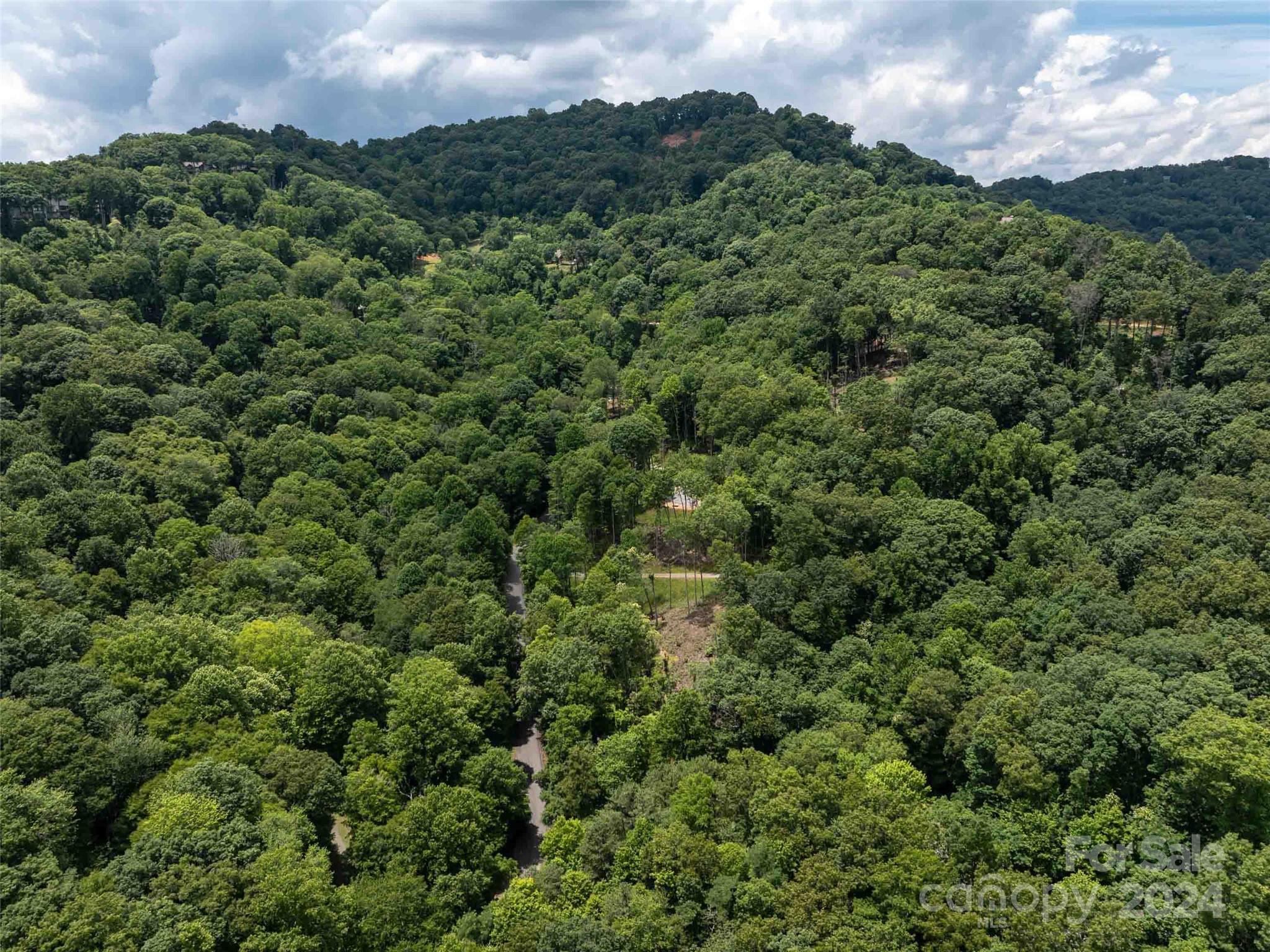 32 Tapestry Trail Waynesville, NC 28785 - Photo 7 of 27 an aerial view of a houses with a lush green hillside