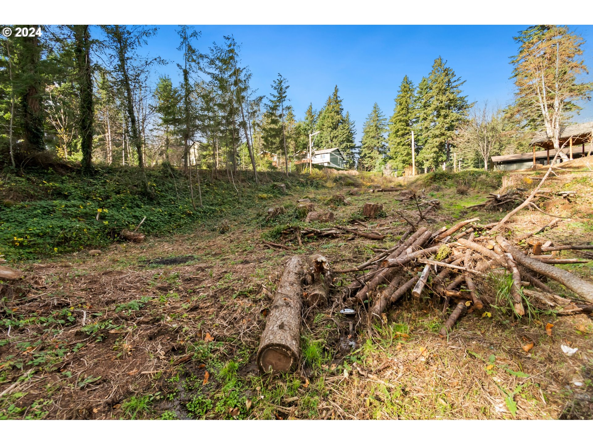 0 Northwest School (lot 2 Land) Road, Unit 2 Stevenson, WA 98648 - Photo 6 of 17
