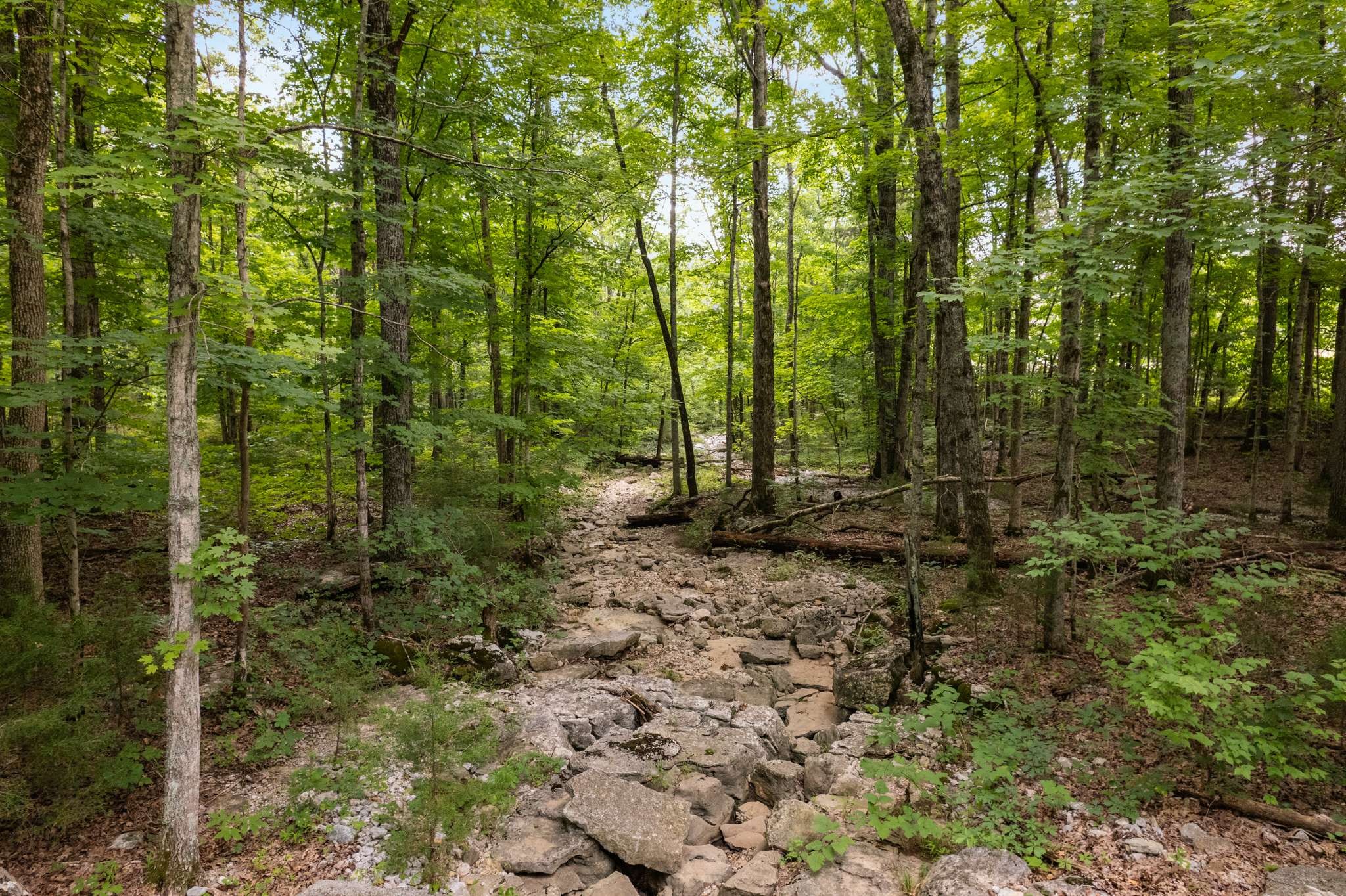 12200 Franklin Road College Grove, TN 37046 - Photo 60 of 72
