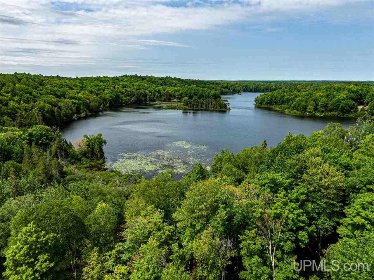 Lot 27 Red Maple Landing Marenisco, MI 49947 - Photo 5 of 9