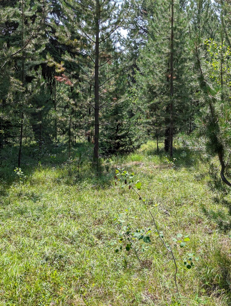 32 Thunderbolt Place, Unit 79 McCall, ID 83638 - Photo 8 of 12
