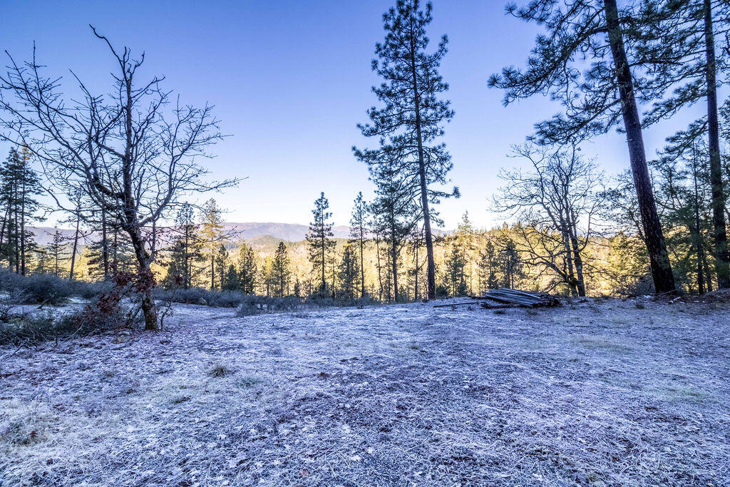 0 Waldo Road, Unit 403 Cave Junction, OR 97523 - Photo 6 of 17 a view of empty room with tree and wooden fence