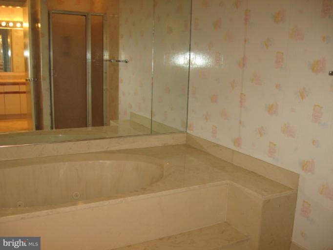 3021 Fallstaff Road, Unit 106B Baltimore, MD 21209 - Photo 11 of 12 Bath (Master)