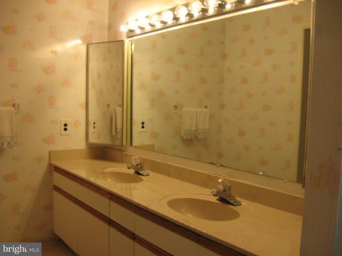 3021 Fallstaff Road, Unit 106B Baltimore, MD 21209 - Photo 10 of 12 Bath (Master)