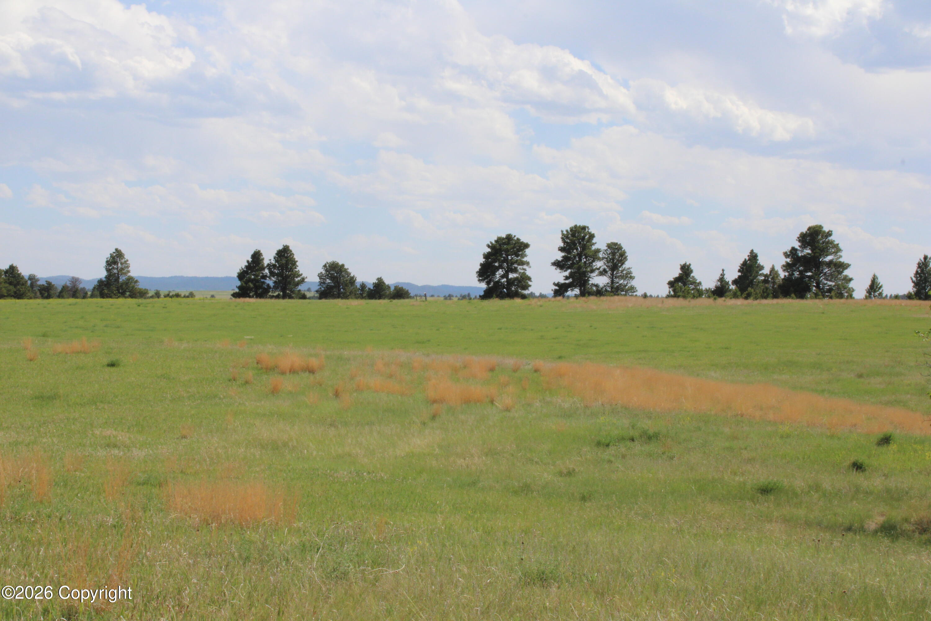 14 River Road Hulett, WY 82720 - Photo 17 of 24 Gallery Image 17