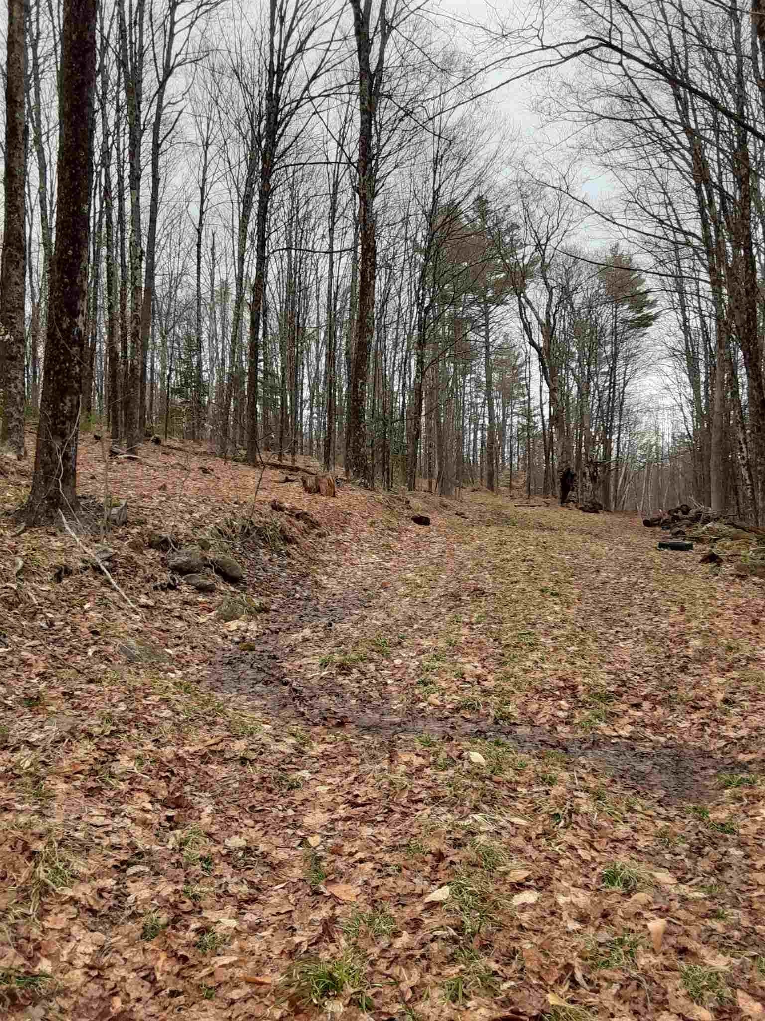 24 Stage Road Lempster, NH 03605 - Photo 18 of 29
