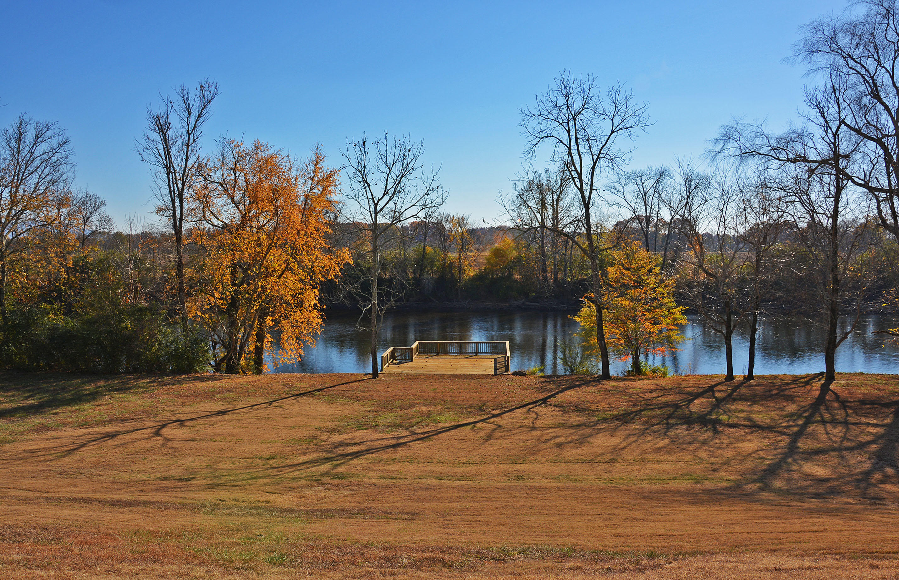 747 Pinhook Road, Unit 10 Calhoun, TN 37309 - Photo 22 of 30 Backyard`