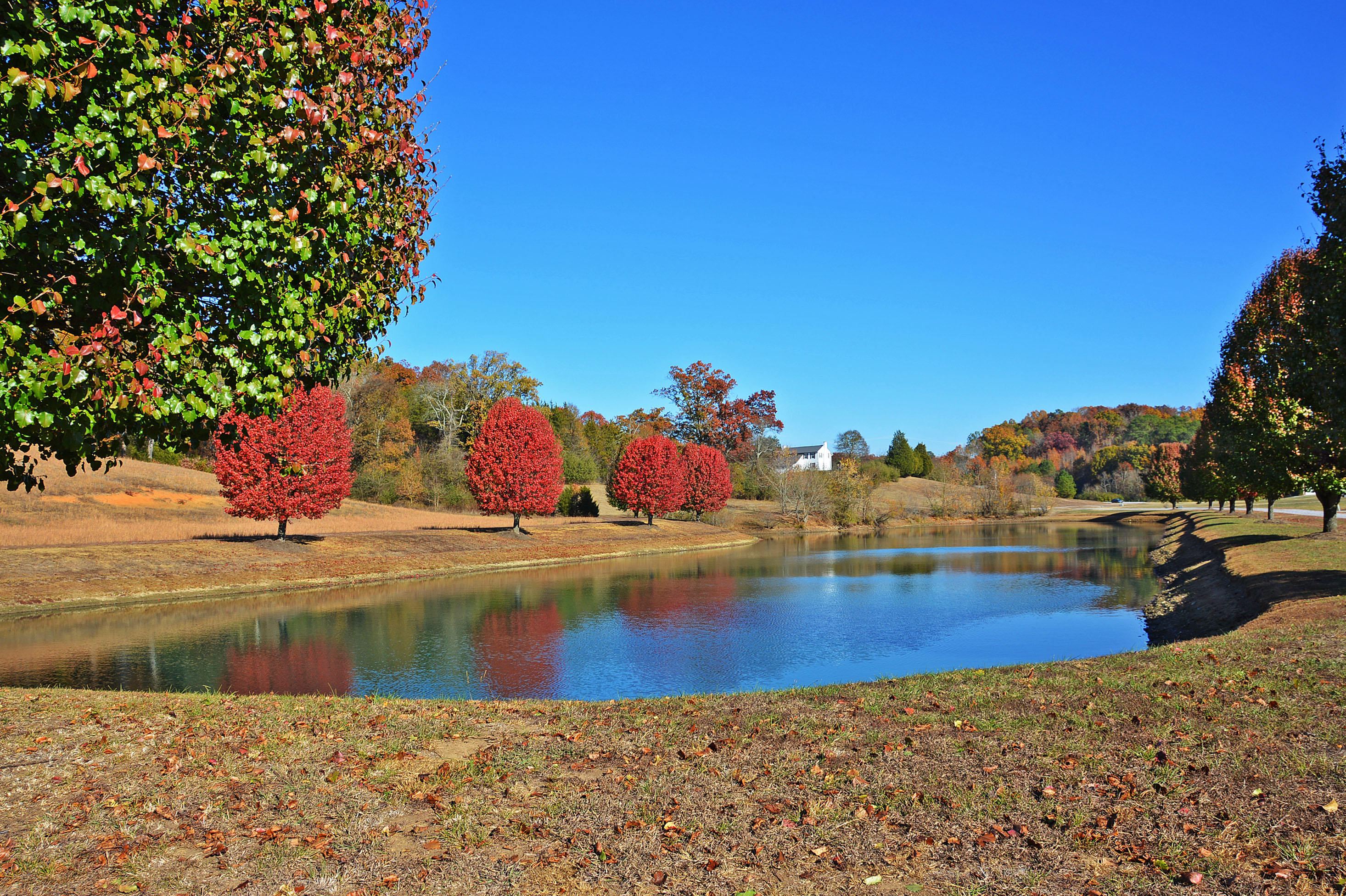 747 Pinhook Road, Unit 10 Calhoun, TN 37309 - Photo 28 of 30 Community Pond