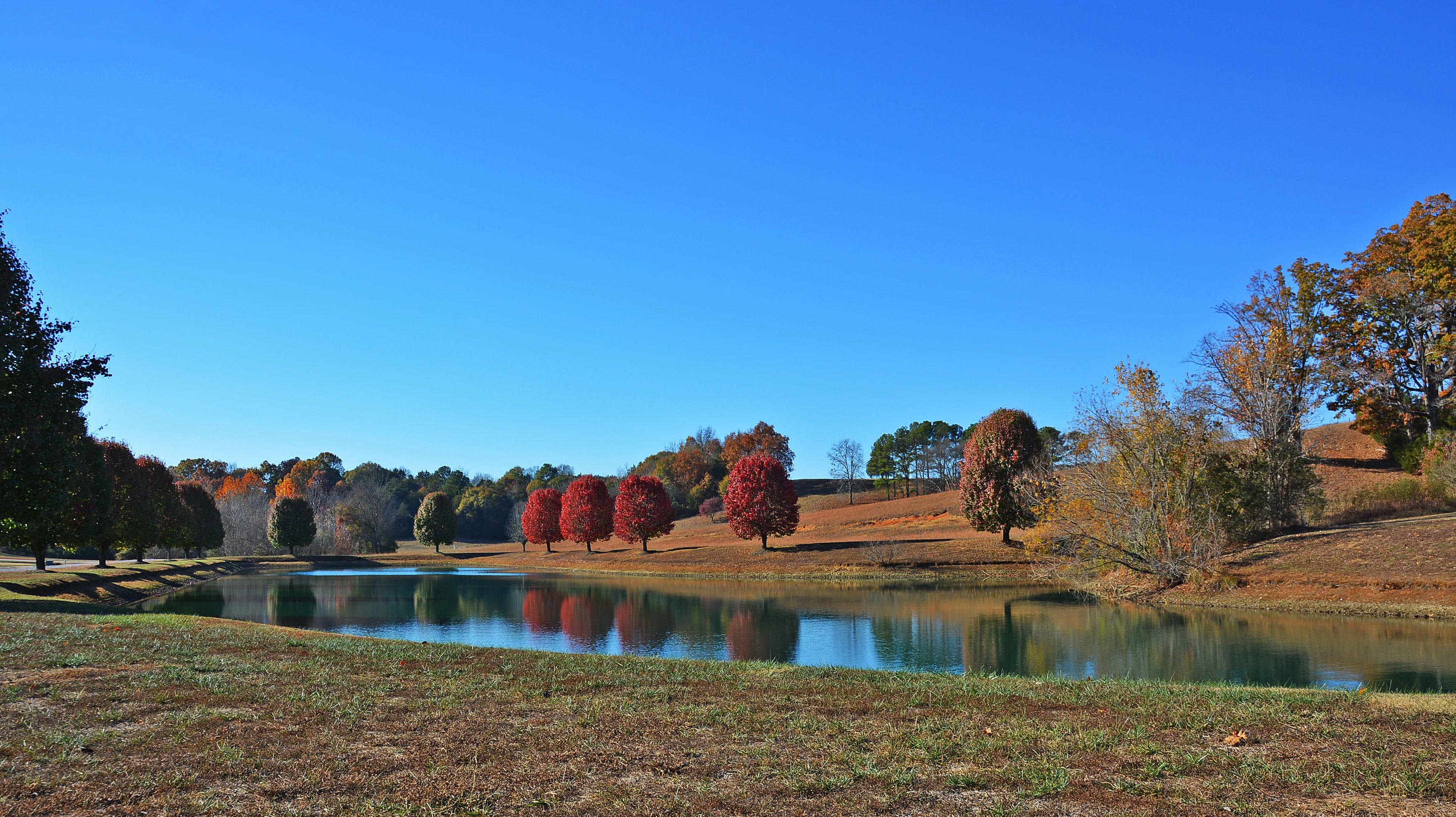 747 Pinhook Road, Unit 10 Calhoun, TN 37309 - Photo 29 of 30 .