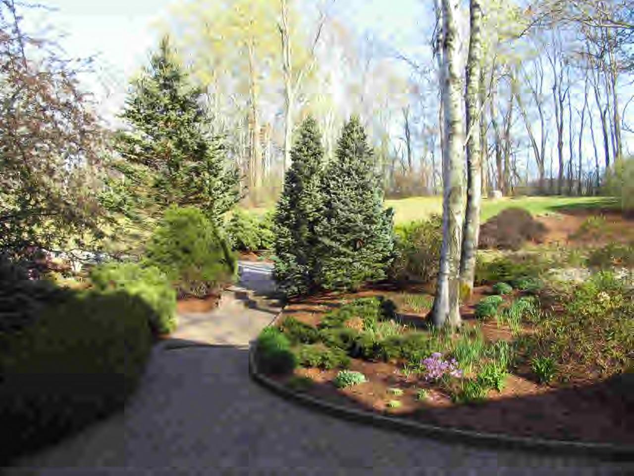50 West Center Road West Stockbridge, MA 01266 - Photo 9 of 9 a garden with lots of trees