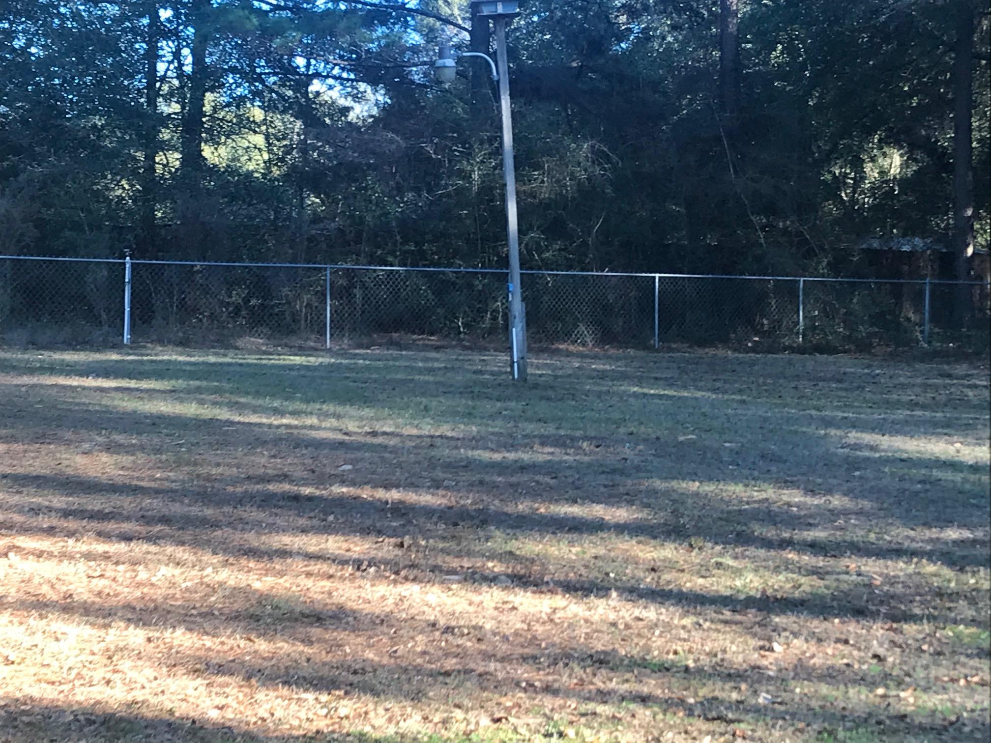 3606 Airport Road Crestview, FL 32539 - Photo 43 of 57 a view of a yard and a wooden fence