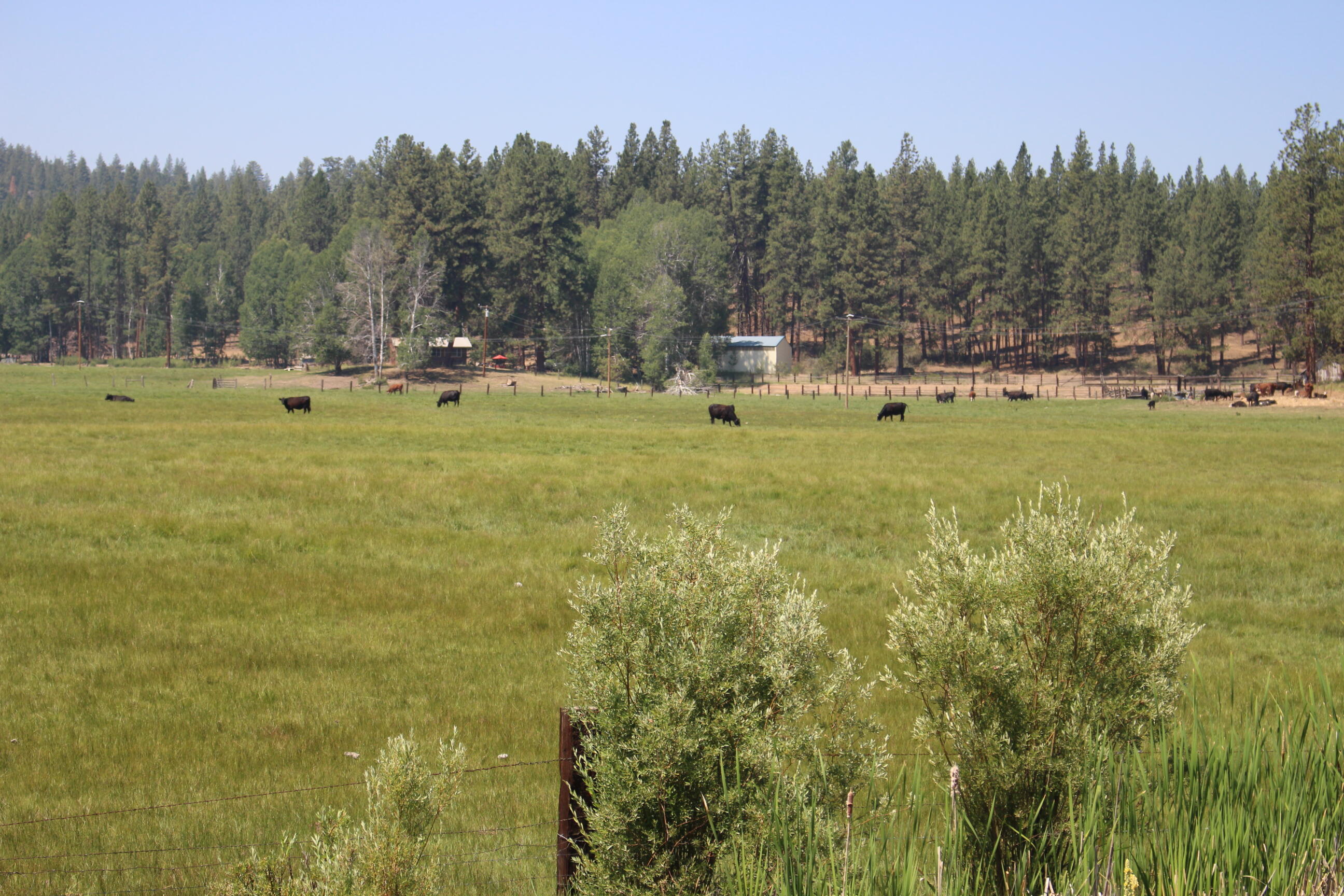 8100 Sprague River Road Chiloquin, OR 97624 - Photo 14 of 15 IMG_3509