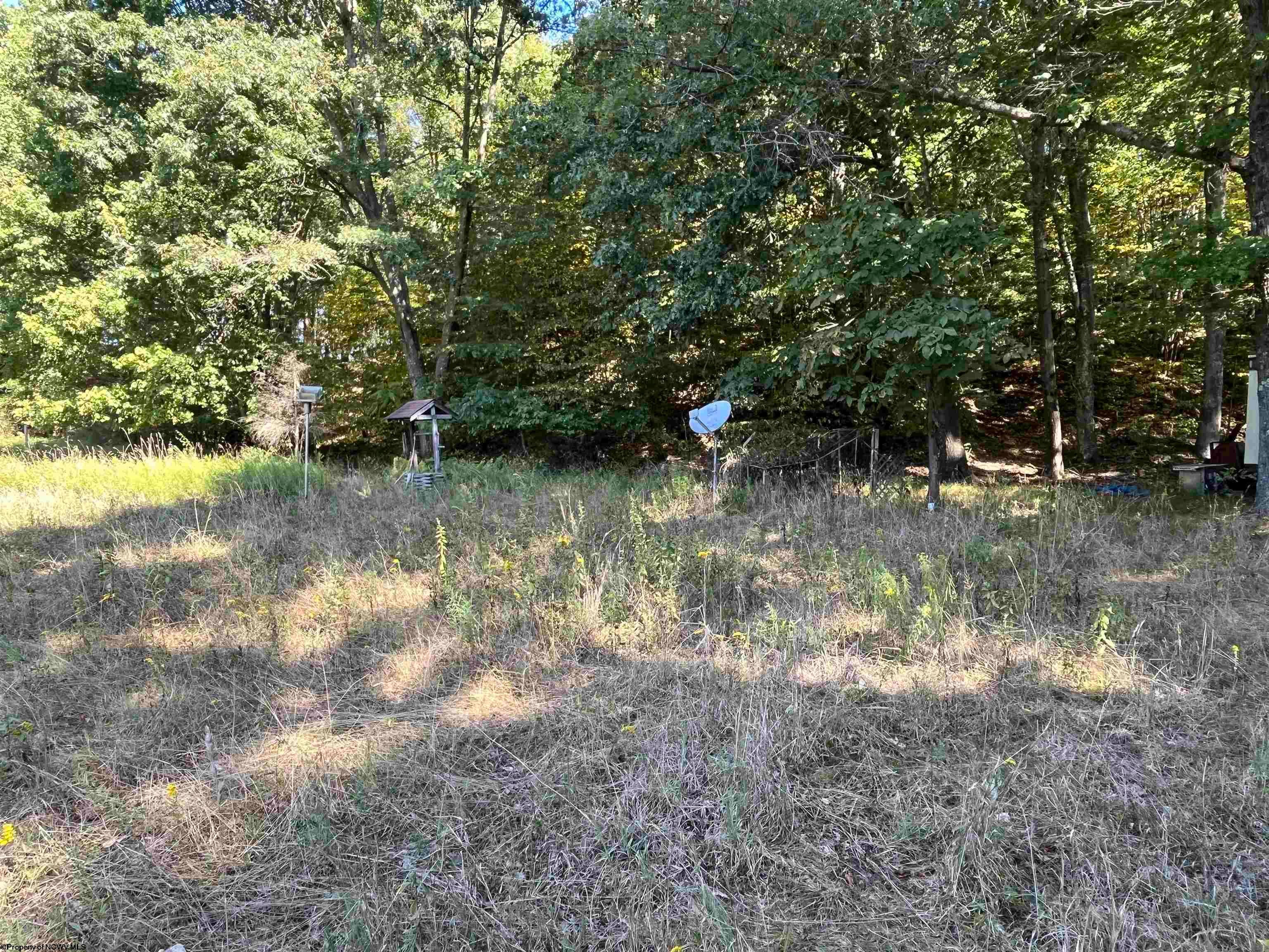 741 Ralph Livengood Road Bruceton Mills, WV 26525 - Photo 3 of 8 Gallery Image 3