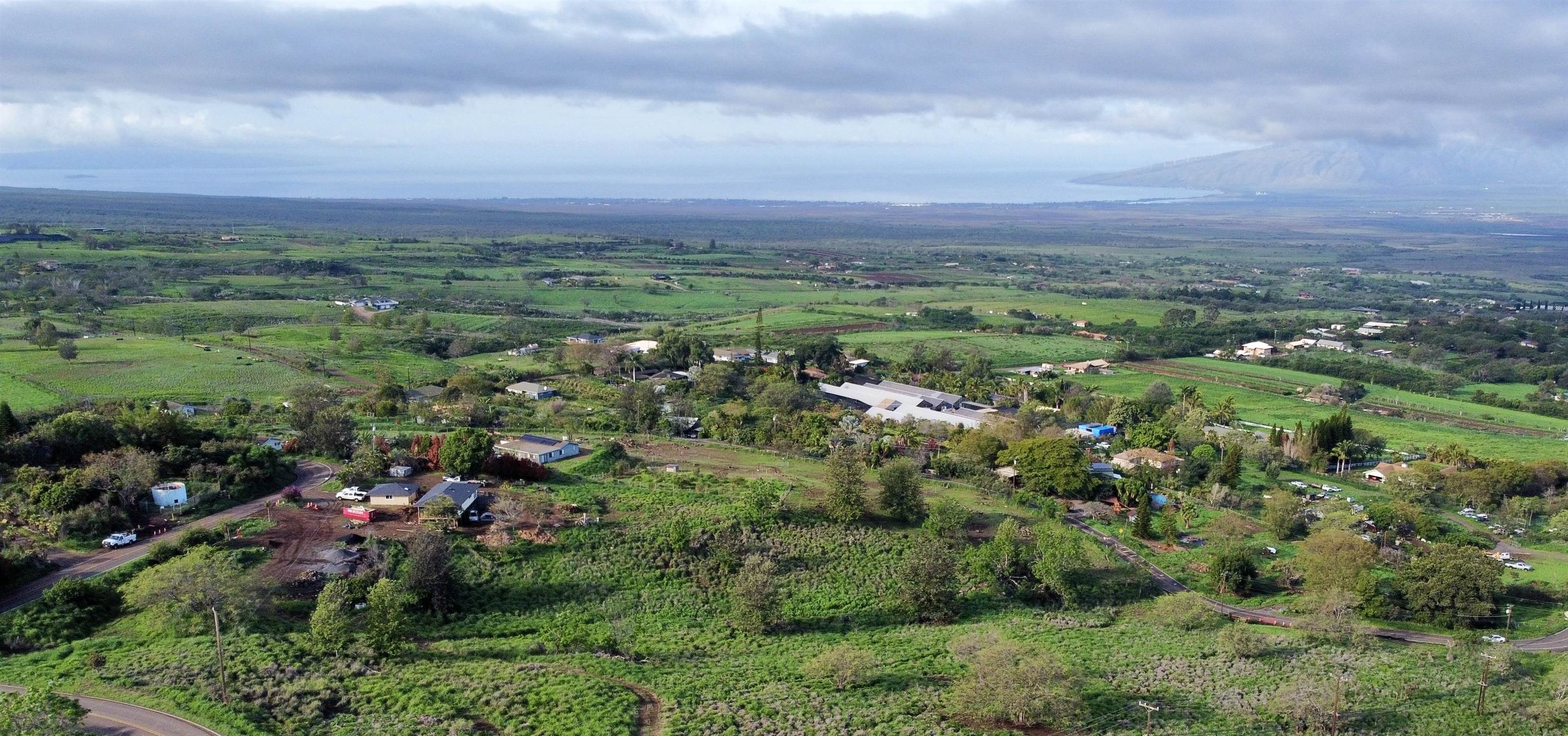 a view of a city with lush green forest