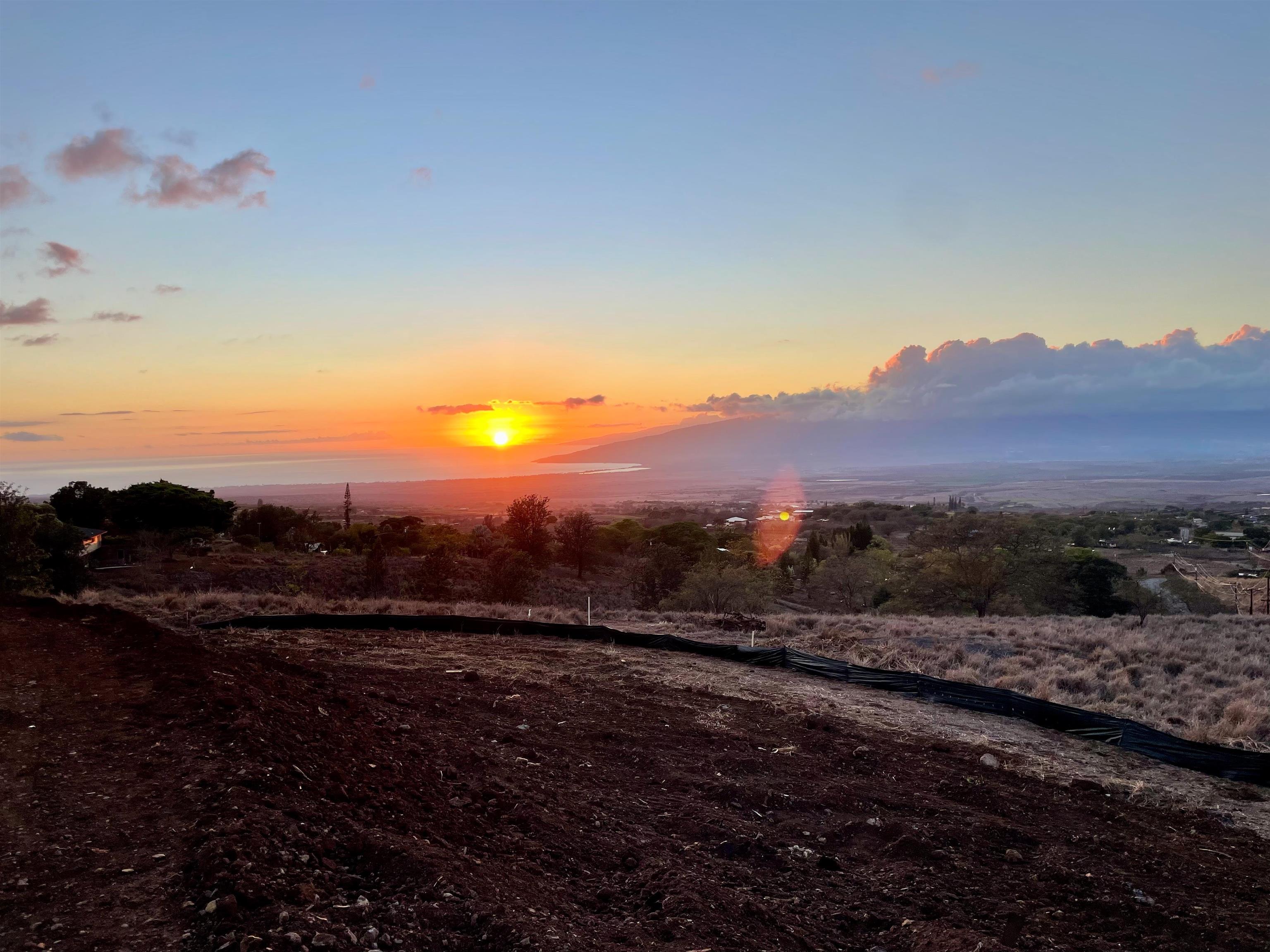2 Omaopio Road, Unit 2 Kula, HI 96790 - Photo 8 of 8 a view of a backyard of a house