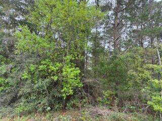 7117 Snug Waters Road Navarre, FL 32566 - Photo 2 of 14 Snug Waters