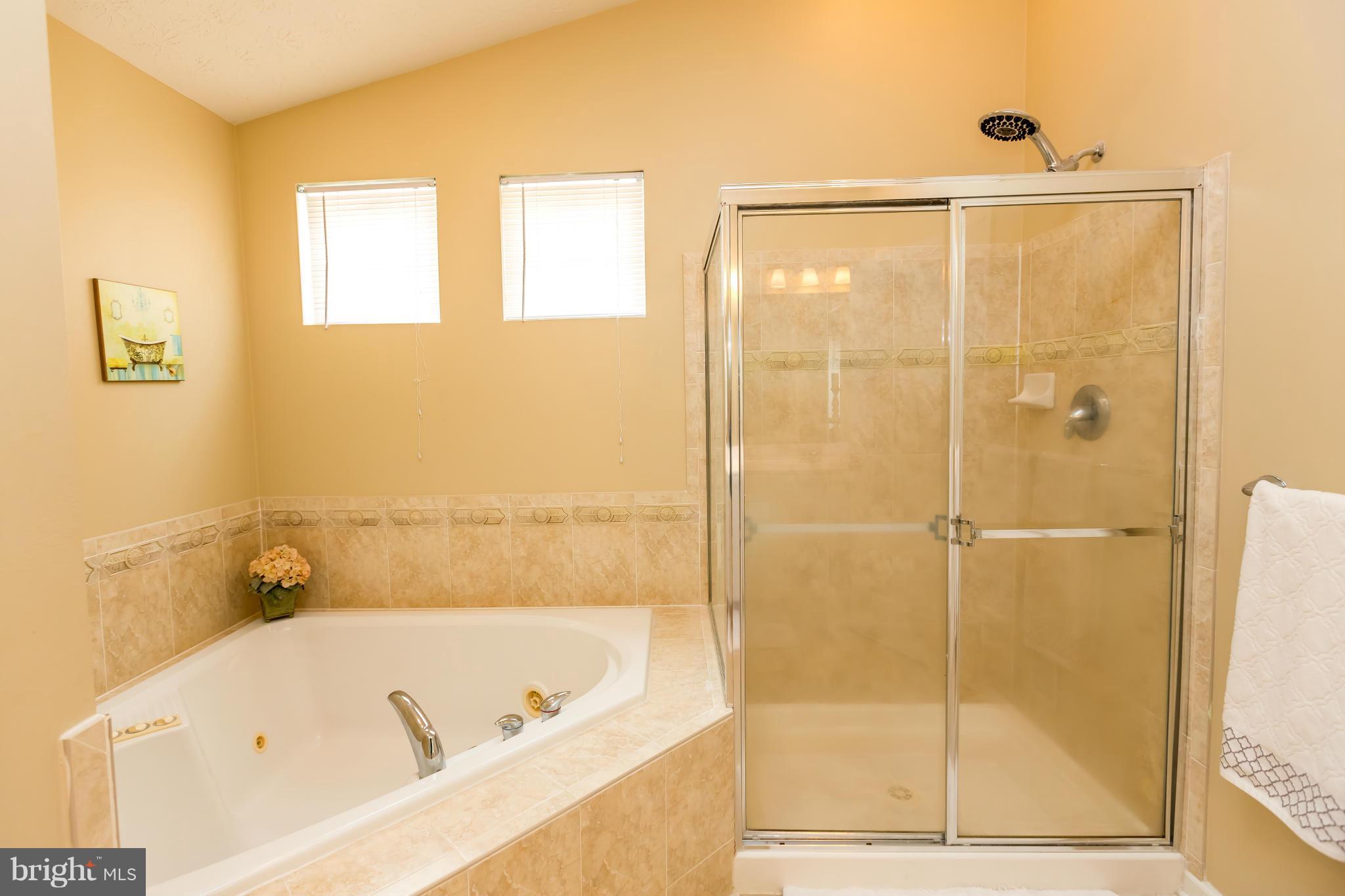 7754 Rotherham Drive Hanover, MD 21076 - Photo 21 of 30 Bath (Master)