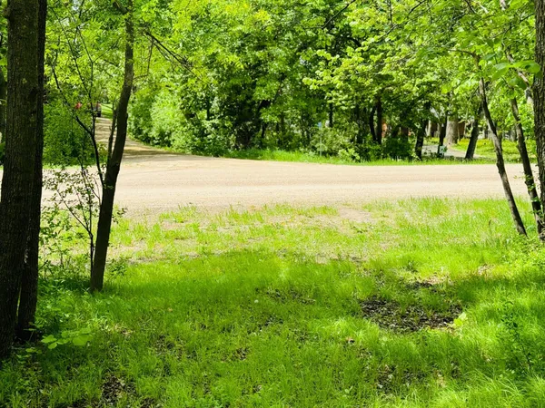 $47,500 | Lot 4 Canterbury Sands Trail, Battle Lake, MN 56515