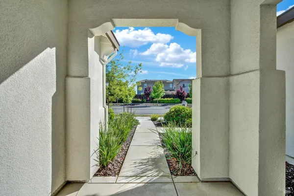 a view of a garden from a window