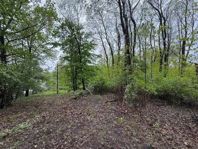 Tbd Prospect St. Louis, MI 48880 - Photo 18 of 23