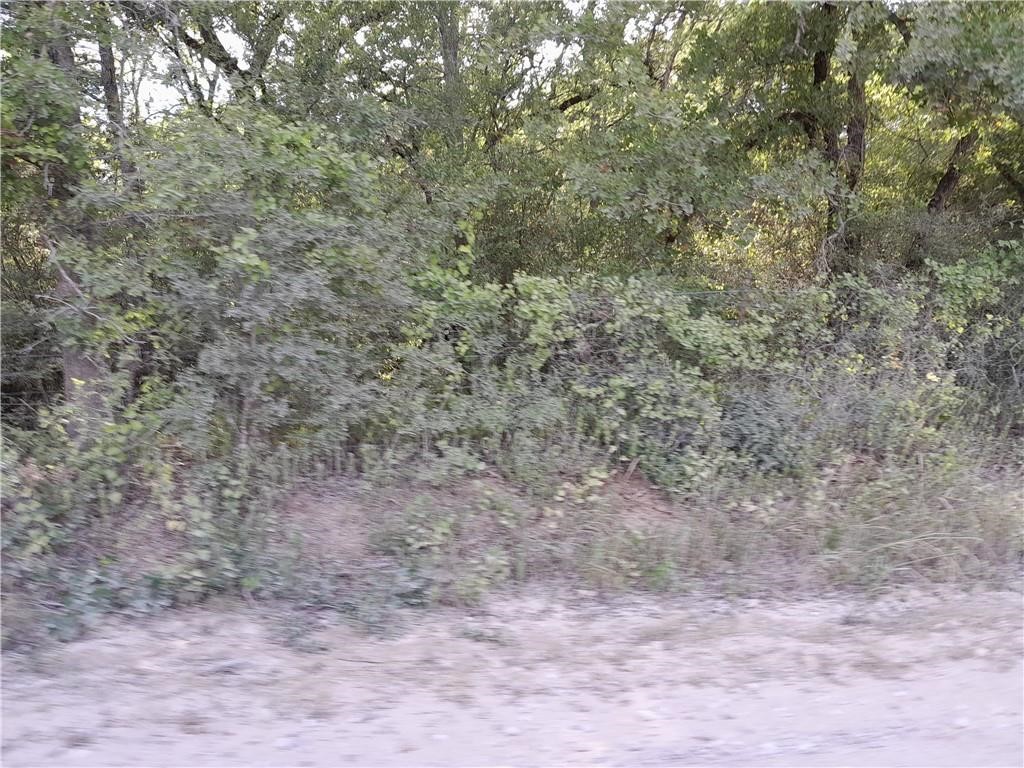 a view of a dry yard with lots of bushes