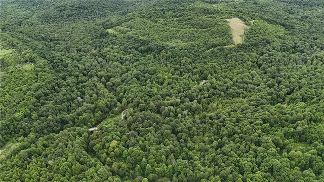 a view of outdoor space and yard