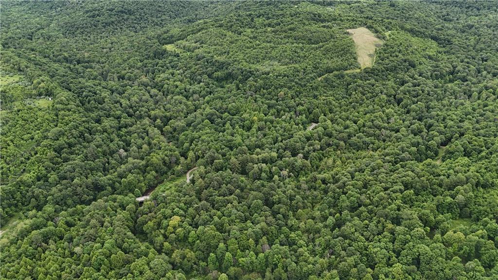 4235 Branch Road Punxsutawney, PA 15767 - Photo 11 of 25