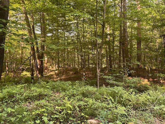 4235 Branch Road Punxsutawney, PA 15767 - Photo 13 of 25