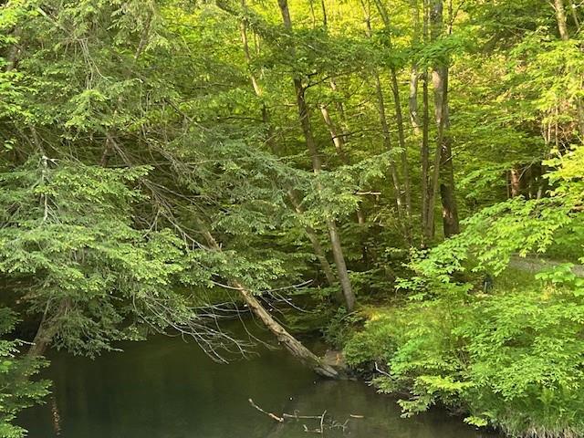 4235 Branch Road Punxsutawney, PA 15767 - Photo 15 of 25