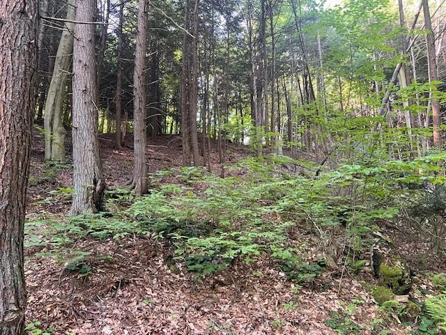 4235 Branch Road Punxsutawney, PA 15767 - Photo 16 of 25