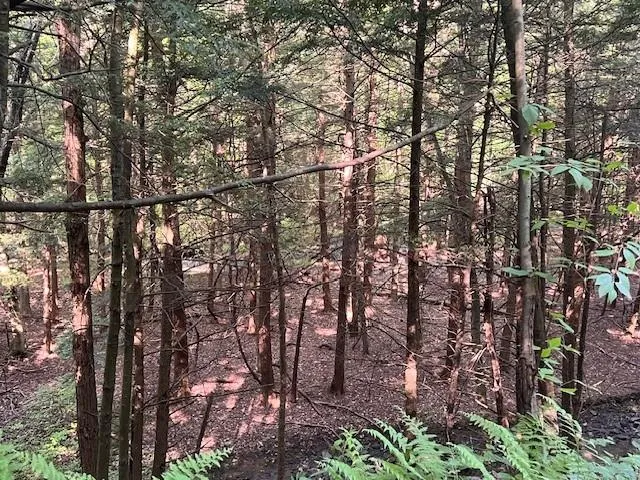 a view of a garden with a lake view