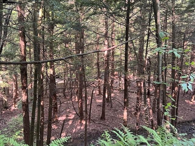 4235 Branch Road Punxsutawney, PA 15767 - Photo 17 of 25