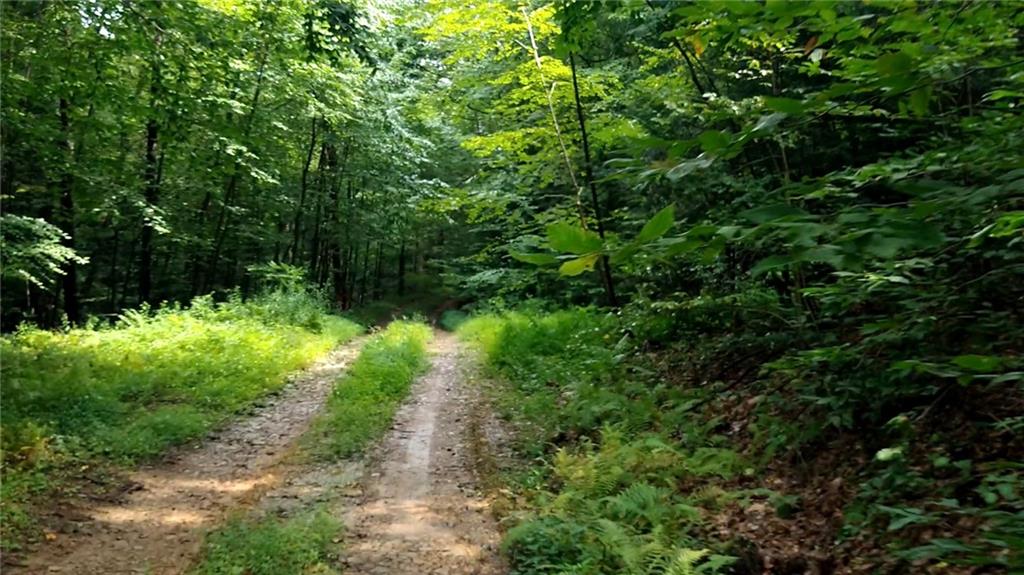 4235 Branch Road Punxsutawney, PA 15767 - Photo 19 of 25