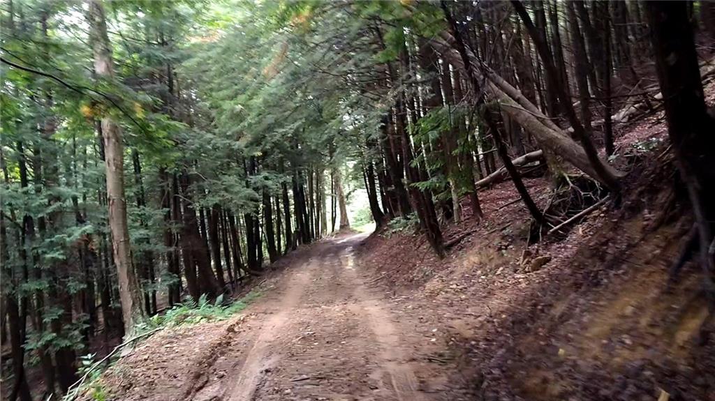 4235 Branch Road Punxsutawney, PA 15767 - Photo 20 of 25