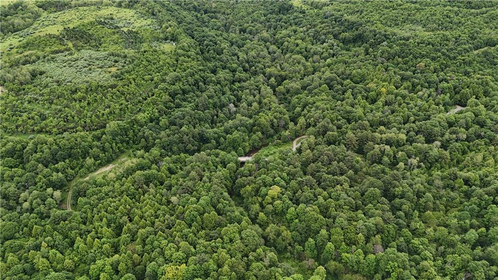 4235 Branch Road Punxsutawney, PA 15767 - Photo 3 of 25