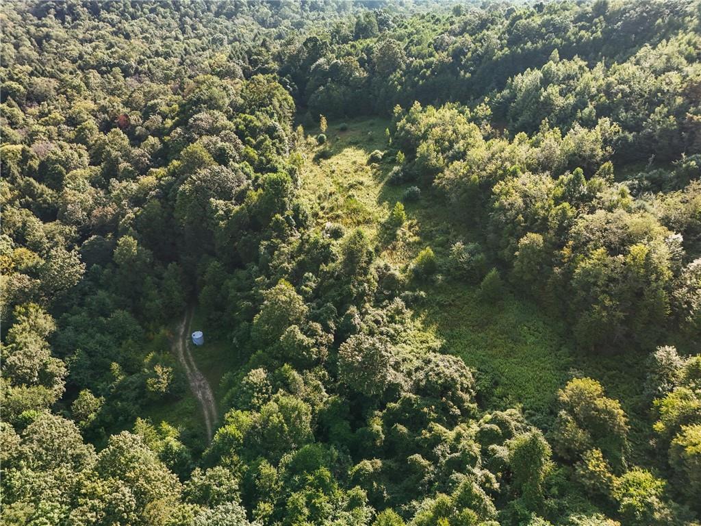 4235 Branch Road Punxsutawney, PA 15767 - Photo 6 of 25