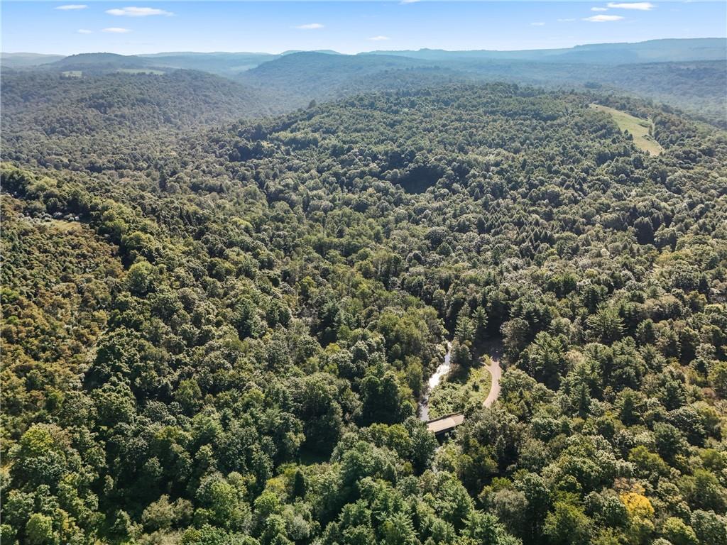 4235 Branch Road Punxsutawney, PA 15767 - Photo 8 of 25