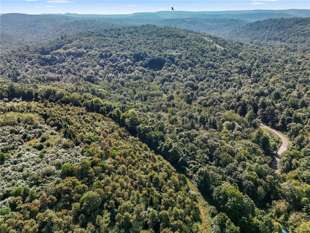 4235 Branch Road Punxsutawney, PA 15767 - Photo 9 of 25