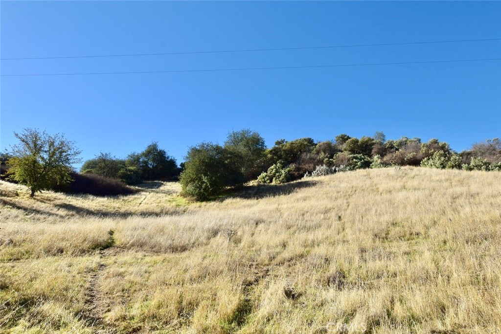 75200 Interlake Road Bradley, CA 93426 - Photo 13 of 30