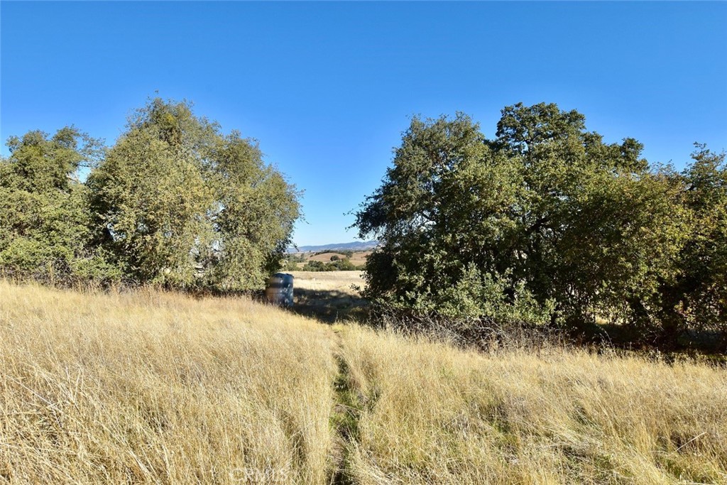 75200 Interlake Road Bradley, CA 93426 - Photo 17 of 30