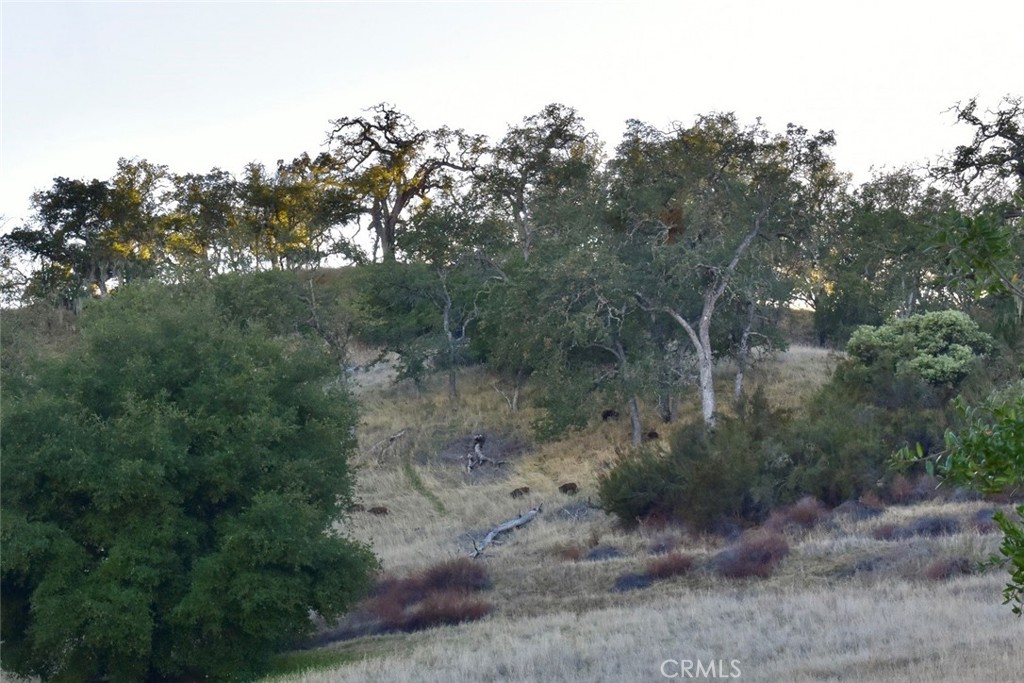 75200 Interlake Road Bradley, CA 93426 - Photo 20 of 30