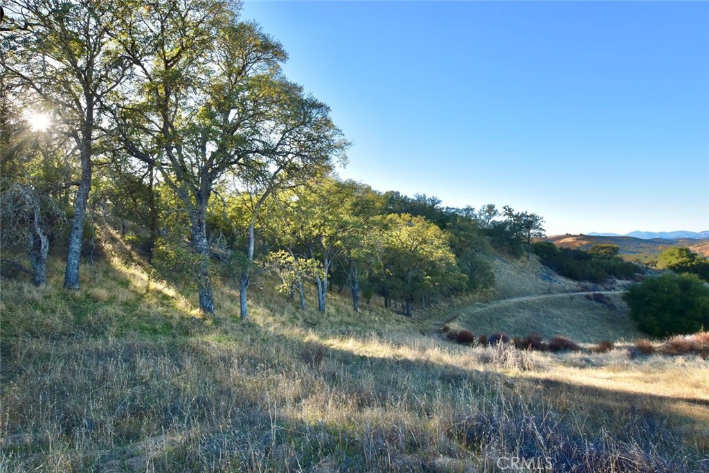 75200 Interlake Road Bradley, CA 93426 - Photo 8 of 30