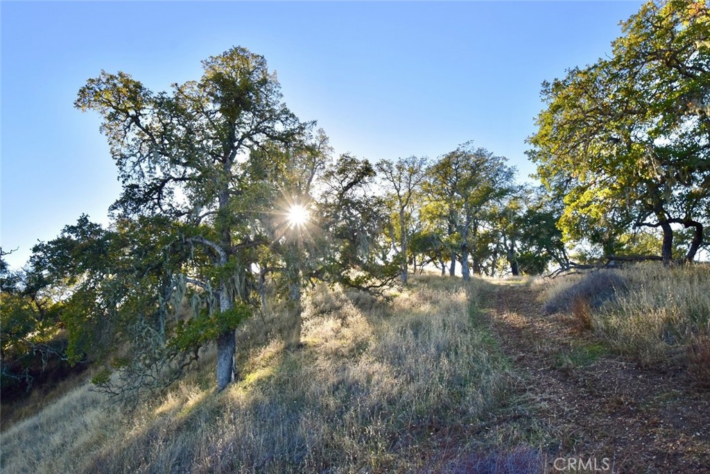 75200 Interlake Road Bradley, CA 93426 - Photo 9 of 30