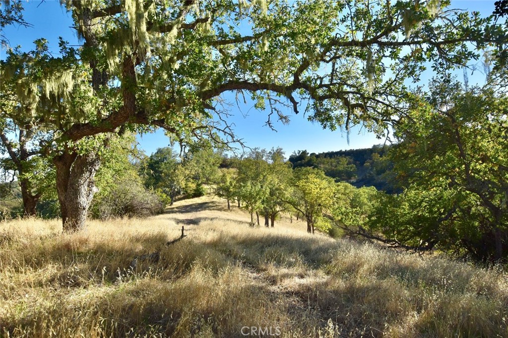 75200 Interlake Road Bradley, CA 93426 - Photo 10 of 30