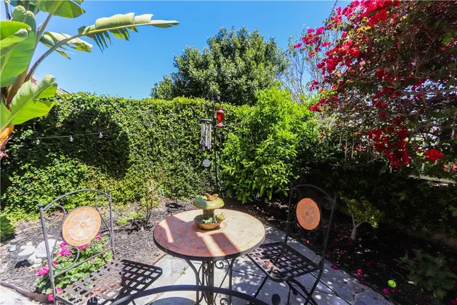 a view of a backyard with potted plants and large tree