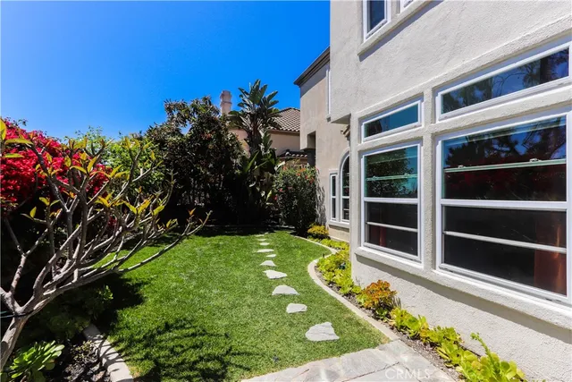 a view of a yard with plants