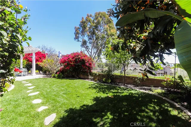 a view of a backyard with potted plants