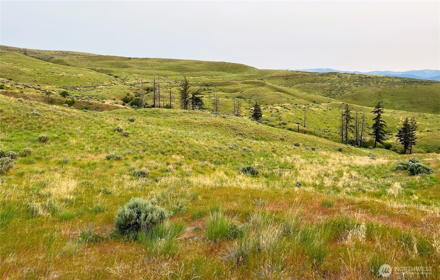 8 Blue Grade Road East Wenatchee, WA 98802 - Photo 11 of 11 a view of an ocean from a mountain